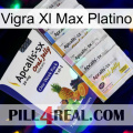 Vigra Xl Max Platinum 11